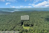 Undeveloped Land for sale in Marion County, Tennessee