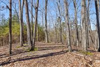Undeveloped Land for sale in Rhea County, Tennessee