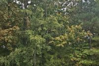 Property for sale in Bradley County, Tennessee