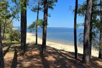 Undeveloped Land for sale in Jasper County, Texas