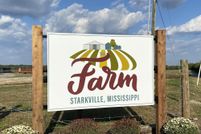 Undeveloped Land for sale in Oktibbeha County, Mississippi