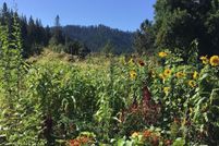 Farm Property for sale in Douglas County, Oregon