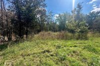 Undeveloped Land for sale in Rains County, Texas