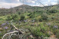 Property for sale in Larimer County, Colorado