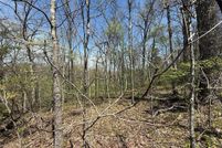 Property for sale in Lincoln County, Missouri