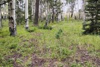 Property for sale in Gunnison County, Colorado