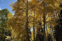 Residential Property for sale in Dolores County, Colorado