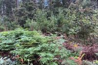 Property for sale in Montgomery County, Arkansas