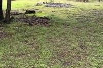 Property for sale in Navarro County, Texas