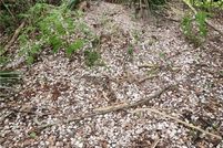 Property for sale in Tangipahoa Parish, Louisiana