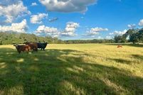 Property for sale in Leon County, Texas