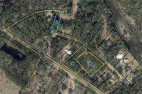 Undeveloped Land for sale in McIntosh County, Georgia
