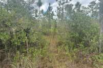 Property for sale in Orange County, Florida
