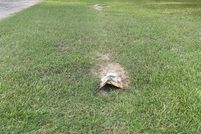 Farm Property for sale in Freestone County, Texas