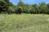 Undeveloped Land for sale in Cocke County, Tennessee