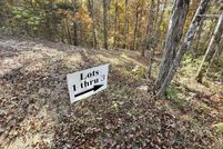 Undeveloped Land for sale in Cocke County, Tennessee
