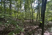 Undeveloped Land for sale in Grainger County, Tennessee