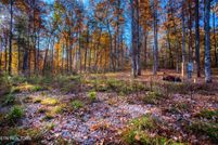 Undeveloped Land for sale in Fentress County, Tennessee