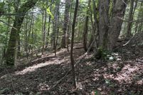 Property for sale in Cocke County, Tennessee