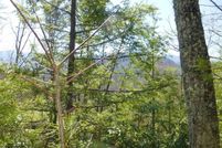 Undeveloped Land for sale in Cocke County, Tennessee