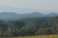 Undeveloped Land for sale in Blount County, Tennessee