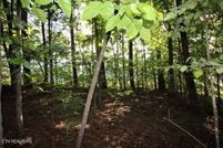 Undeveloped Land for sale in Blount County, Tennessee