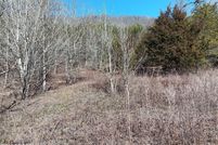Undeveloped Land for sale in Grainger County, Tennessee