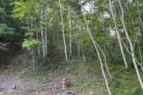 Property for sale in DeKalb County, Tennessee