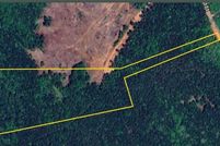 Undeveloped Land for sale in Lee County, Alabama