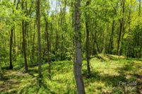 Property for sale in Buncombe County, North Carolina