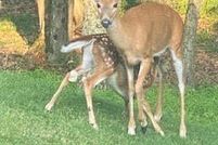 Property for sale in Pike County, Pennsylvania