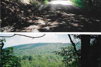 Undeveloped Land for sale in Bradford County, Pennsylvania