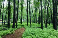 Property for sale in Monroe County, Pennsylvania