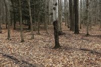 Property for sale in Carbon County, Pennsylvania