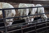 Property for sale in Wayne County, Pennsylvania