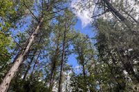 Undeveloped Land for sale in Dallas County, Alabama