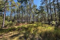 Property for sale in Madison County, Florida
