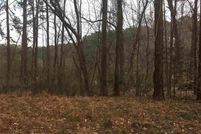 Undeveloped Land for sale in Wake County, North Carolina