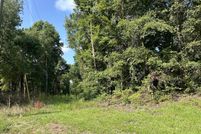 Undeveloped Land for sale in Harnett County, North Carolina
