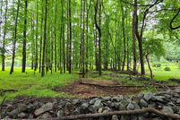 Undeveloped Land for sale in Durham County, North Carolina