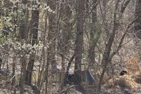 Property for sale in Person County, North Carolina