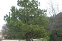 Property for sale in Wake County, North Carolina