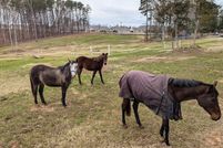 Property for sale in Durham County, North Carolina