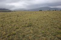 Property for sale in Colfax County, New Mexico