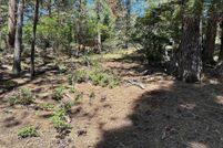 Undeveloped Land for sale in Colfax County, New Mexico