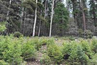 Property for sale in Colfax County, New Mexico