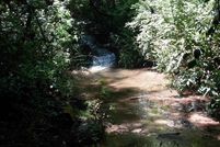 Property for sale in Transylvania County, North Carolina