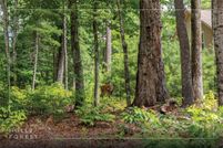 Undeveloped Land for sale in Jackson County, North Carolina