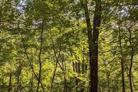 Property for sale in Jackson County, North Carolina