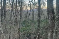 Undeveloped Land for sale in Jackson County, North Carolina